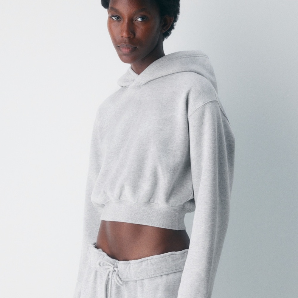 Aritzia Perfect Fit Cropped Gray Hoodie